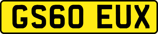 GS60EUX