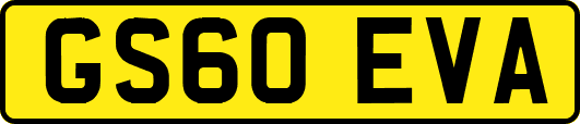 GS60EVA