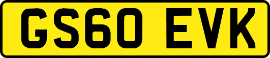GS60EVK
