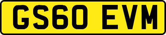 GS60EVM