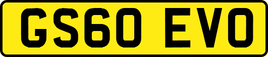 GS60EVO