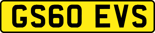GS60EVS