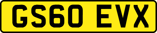 GS60EVX
