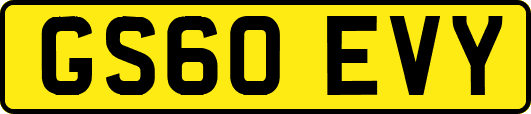 GS60EVY