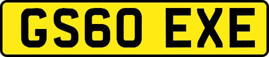 GS60EXE
