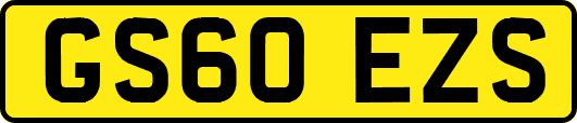 GS60EZS