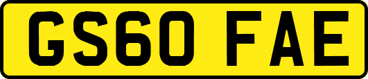 GS60FAE