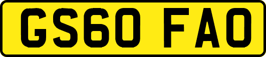 GS60FAO