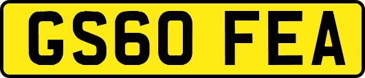 GS60FEA