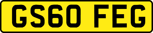 GS60FEG