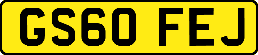 GS60FEJ