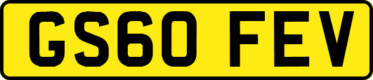 GS60FEV