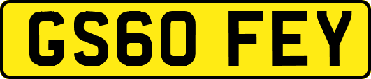 GS60FEY
