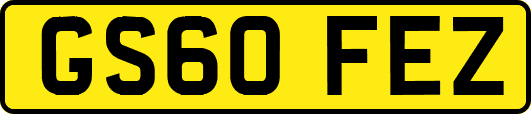 GS60FEZ