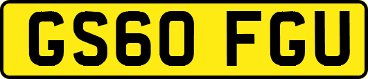 GS60FGU