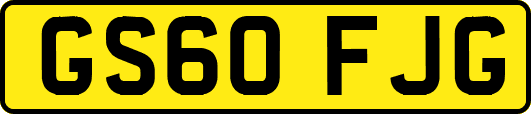 GS60FJG