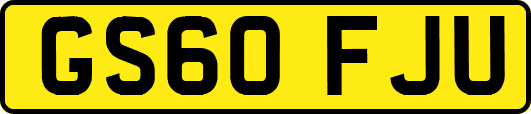 GS60FJU