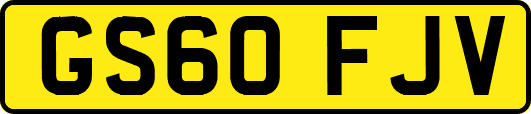 GS60FJV