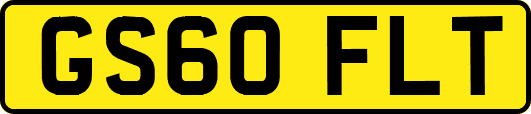 GS60FLT