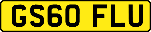 GS60FLU