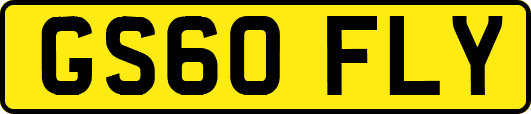 GS60FLY