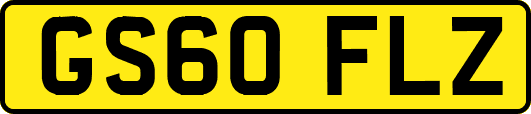 GS60FLZ