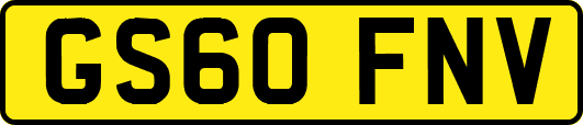 GS60FNV