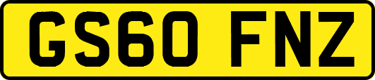 GS60FNZ