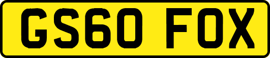 GS60FOX