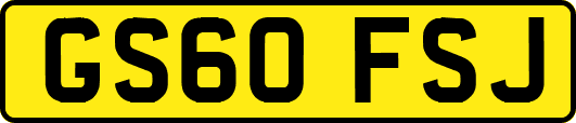 GS60FSJ