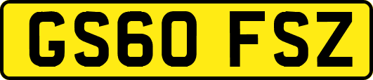 GS60FSZ
