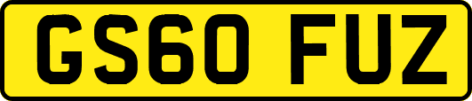 GS60FUZ