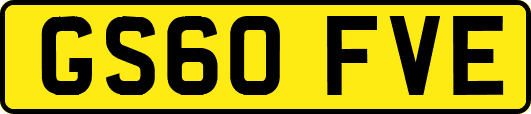 GS60FVE