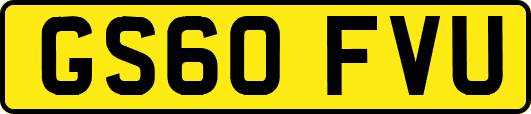GS60FVU