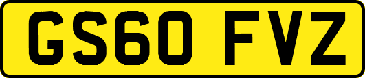 GS60FVZ