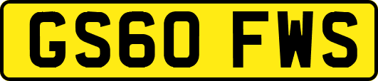 GS60FWS