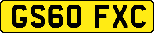 GS60FXC