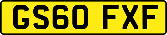 GS60FXF