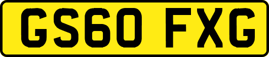 GS60FXG