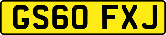 GS60FXJ