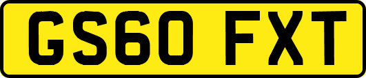 GS60FXT