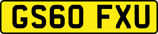 GS60FXU