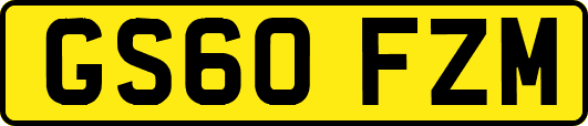 GS60FZM