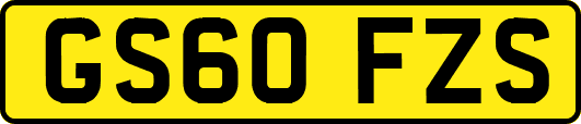 GS60FZS