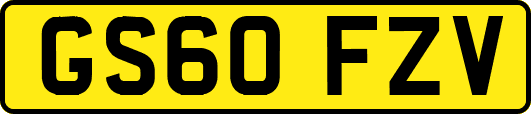 GS60FZV