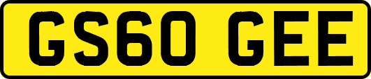 GS60GEE