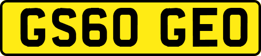 GS60GEO