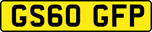 GS60GFP