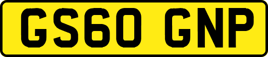 GS60GNP