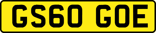 GS60GOE
